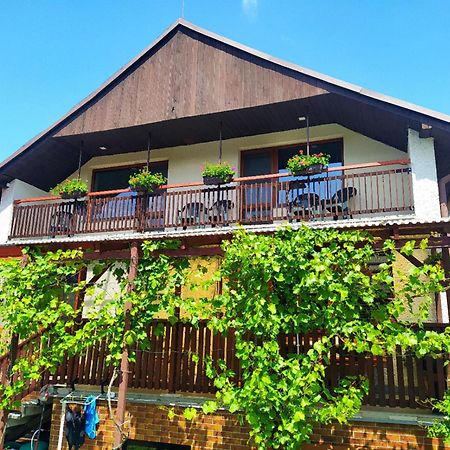 Bile Policany Apartman U Spycharu מראה חיצוני תמונה
